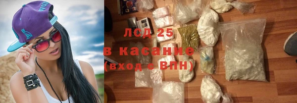 ПСИЛОЦИБИНОВЫЕ ГРИБЫ Белоозёрский