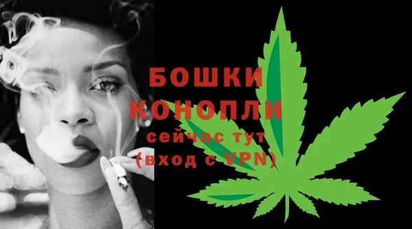 ПСИЛОЦИБИНОВЫЕ ГРИБЫ Белоозёрский