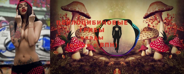 ПСИЛОЦИБИНОВЫЕ ГРИБЫ Белоозёрский
