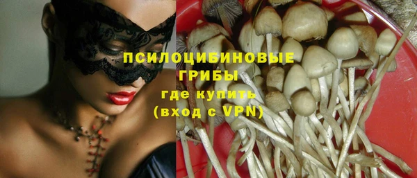 ПСИЛОЦИБИНОВЫЕ ГРИБЫ Белоозёрский