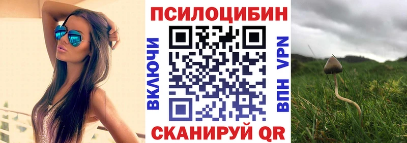 закладки  Киселёвск  Псилоцибиновые грибы прущие грибы 